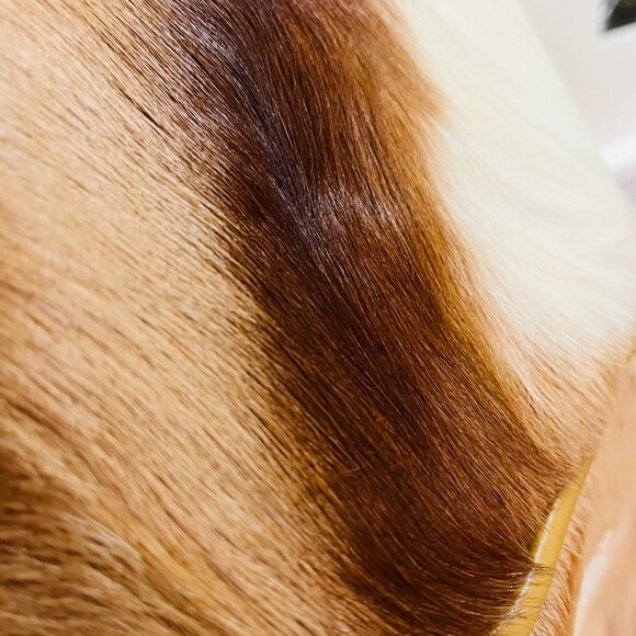 Vintage Bill Robinson cow hide vest size Large - Picture 8 of 17